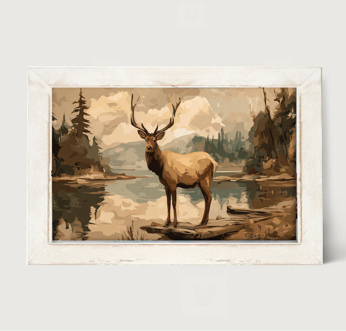 Adirondack Elk