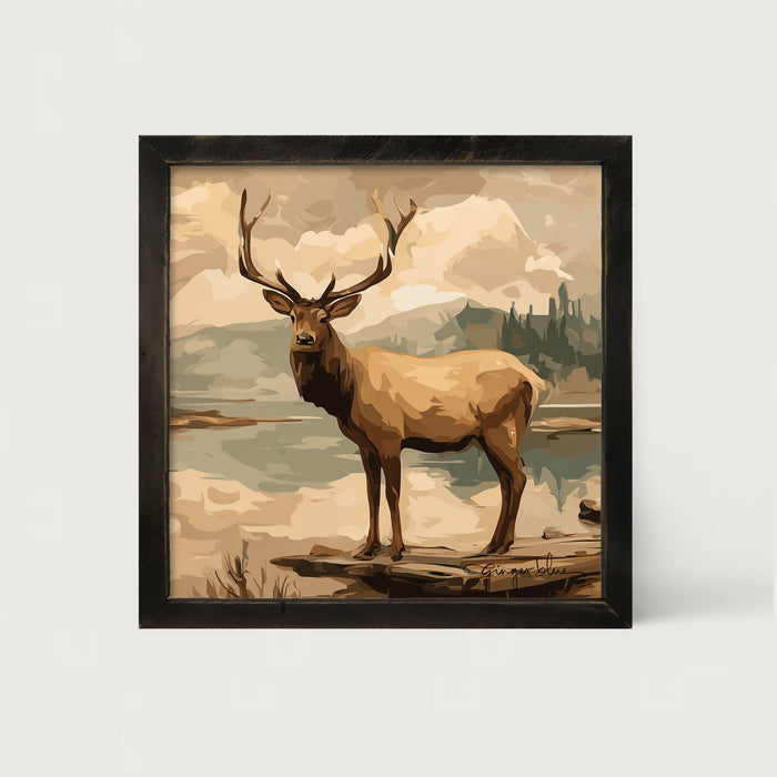 Adirondack Elk
