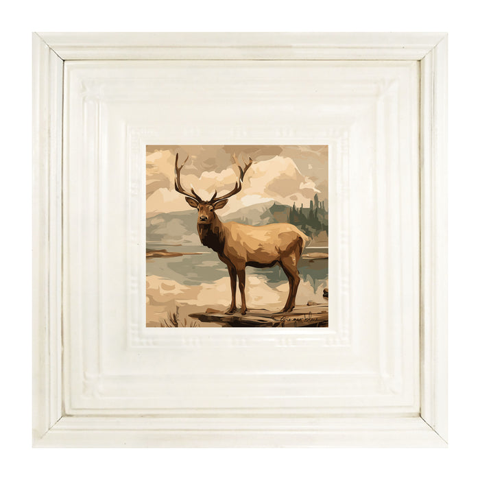 Adirondack Elk