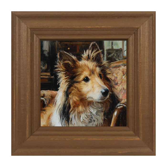 Armchair with Shetland Sheepdog