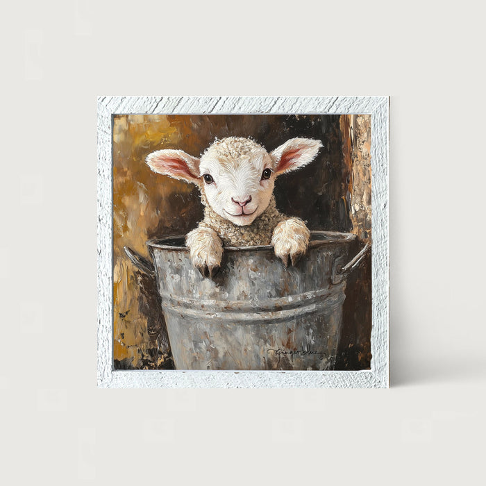 Baby Lamb in Metal Bucket - Framed Art