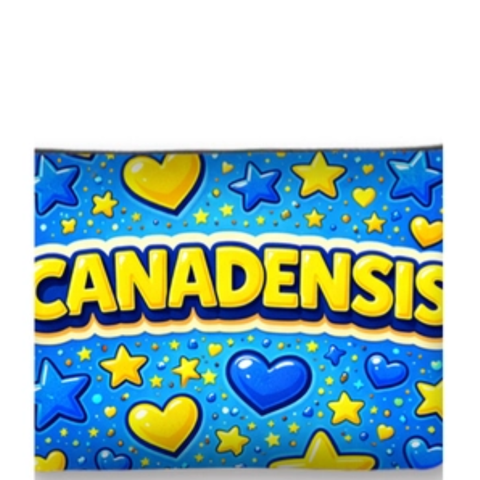 Colorful Bubble Camp Pouches from a private label, featuring a playful design and durable material for versatile storage.