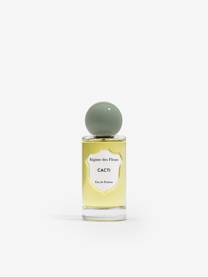 Cacti by Regime des Fleurs