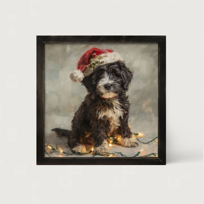 Christmas Lights with Furry Black and White Dog - Framed art
