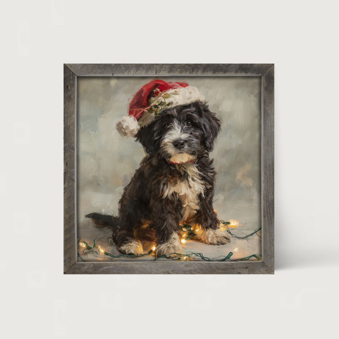 Christmas Lights with Furry Black and White Dog - Framed art