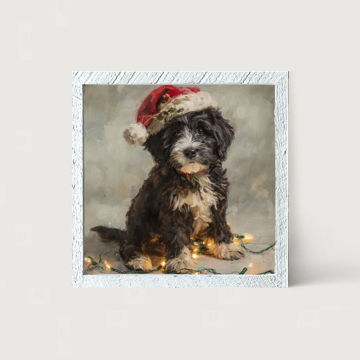 Christmas Lights with Furry Black and White Dog - Framed art