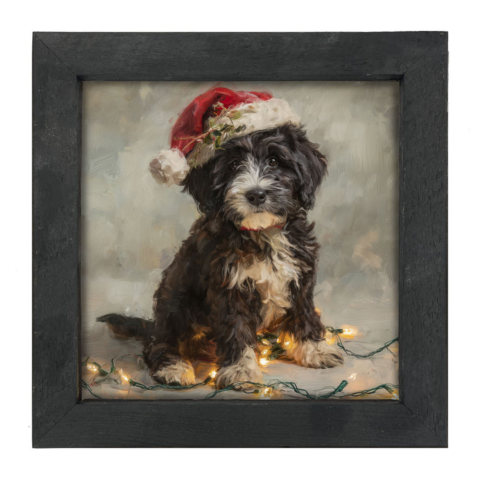 Christmas Lights with Furry Black and White Dog - Framed art