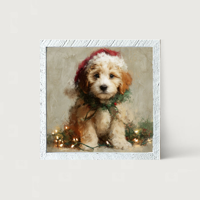 Christmas Lights with Furry Tan Dog - Framed art