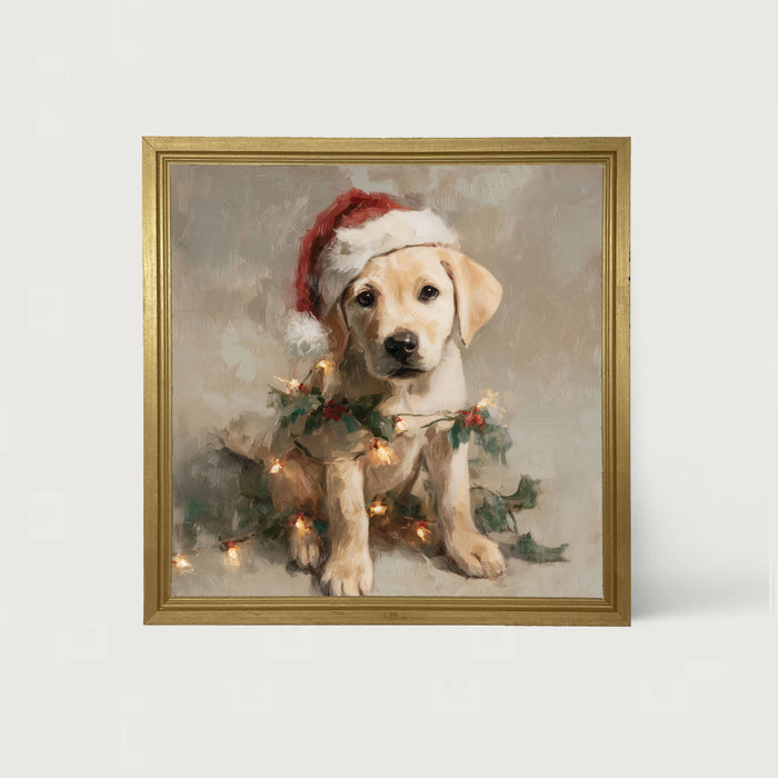 Christmas Lights with Labrador - Framed art
