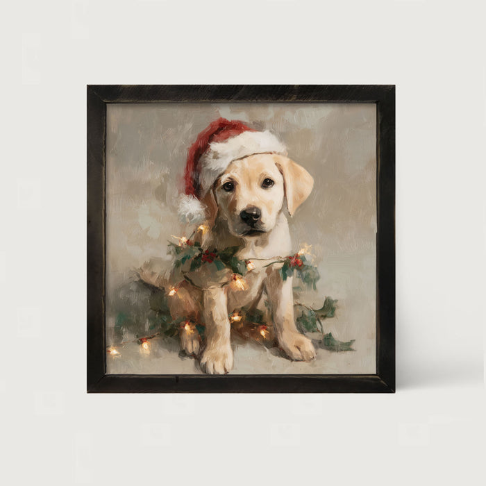 Christmas Lights with Labrador - Framed art