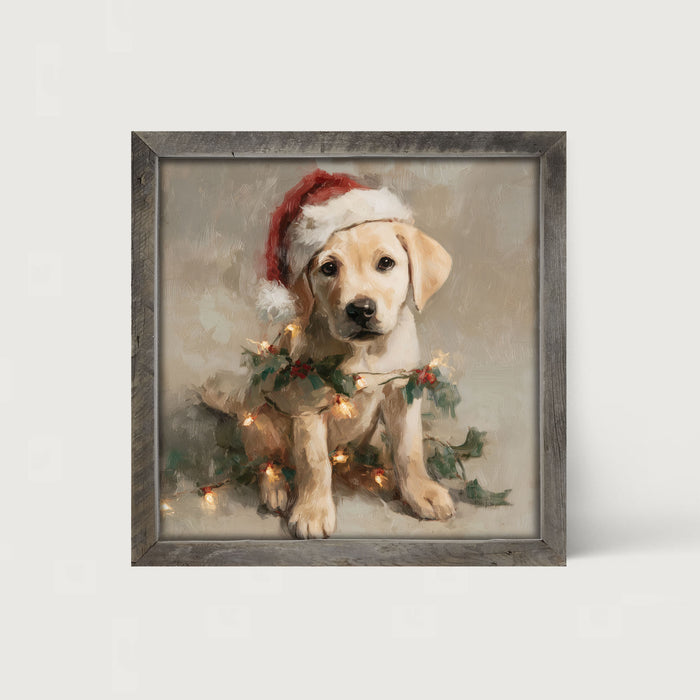 Christmas Lights with Labrador - Framed art