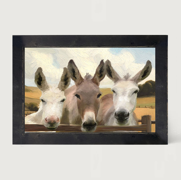 Donkey Friends