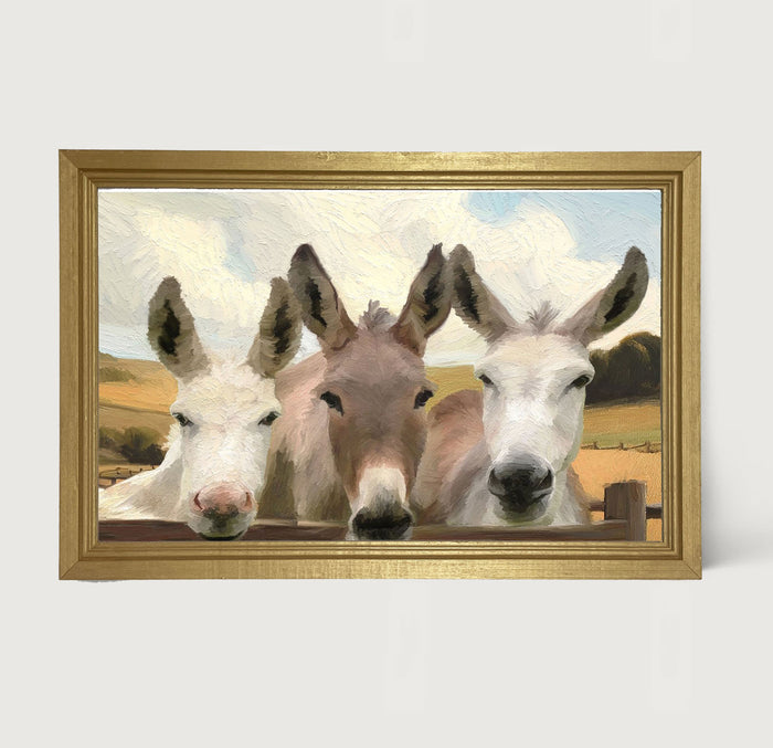 Donkey Friends