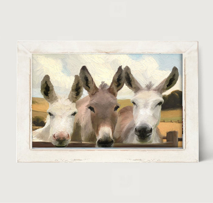 Donkey Friends