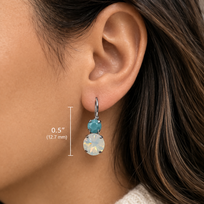 Cathie Nilson double round drop earrings featuring two metallic hoops hanging from delicate hooks.