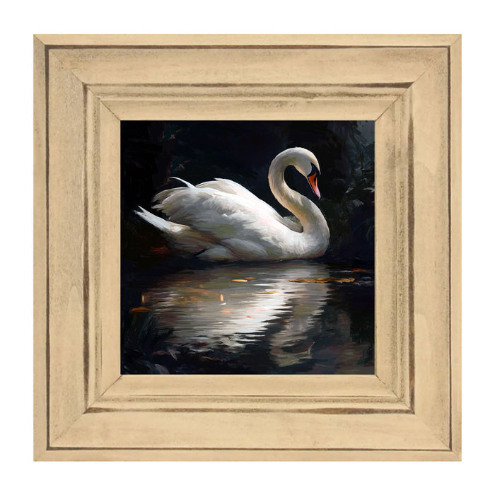 Elegant Swan