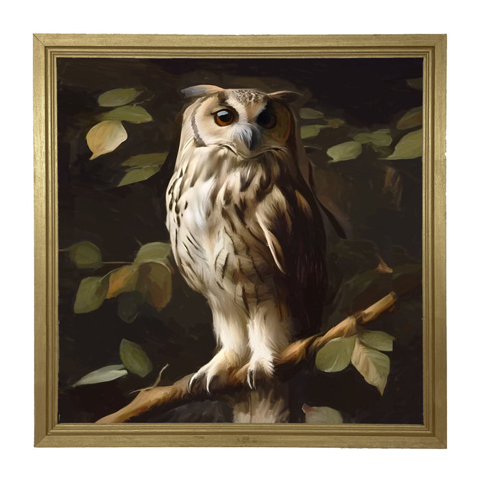 Gray and White Owl - Framed Art