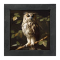 Gray and White Owl - Framed Art