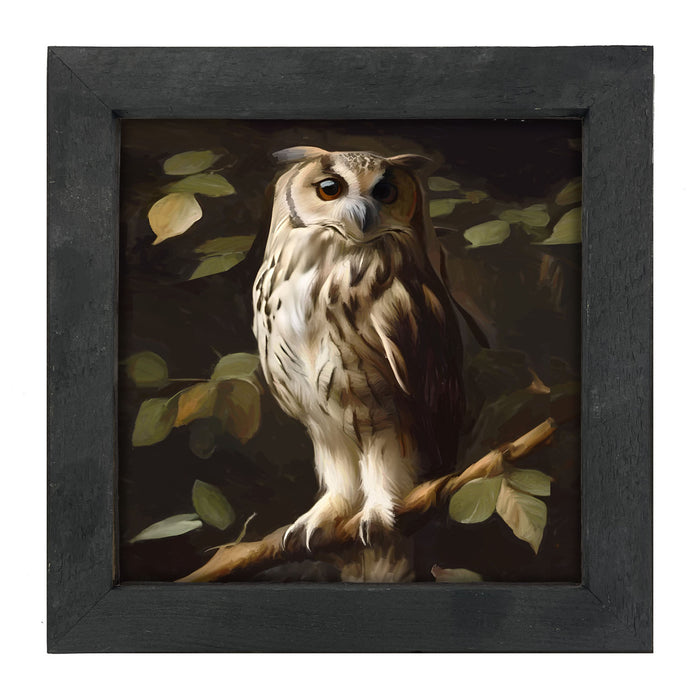 Gray and White Owl