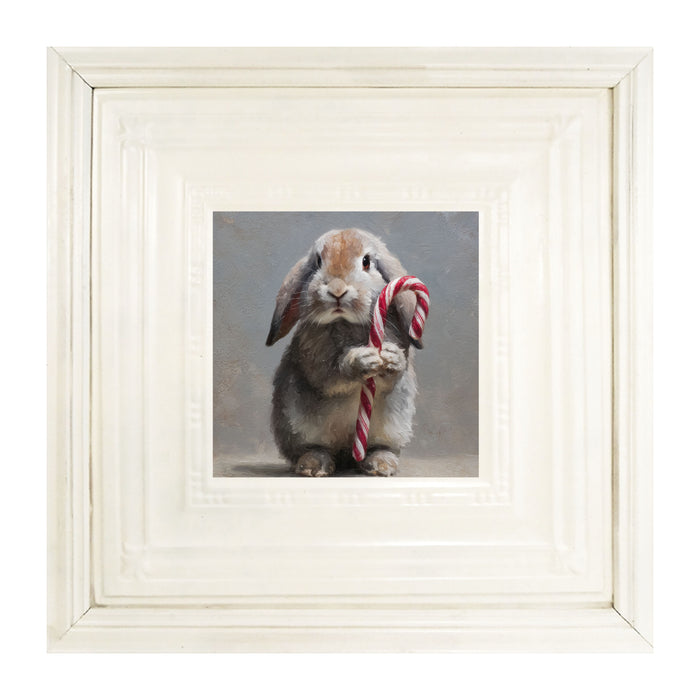 Holiday Bunny - Christmas