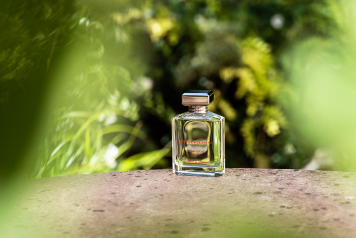 Isfarkand by Ormonde Jayne