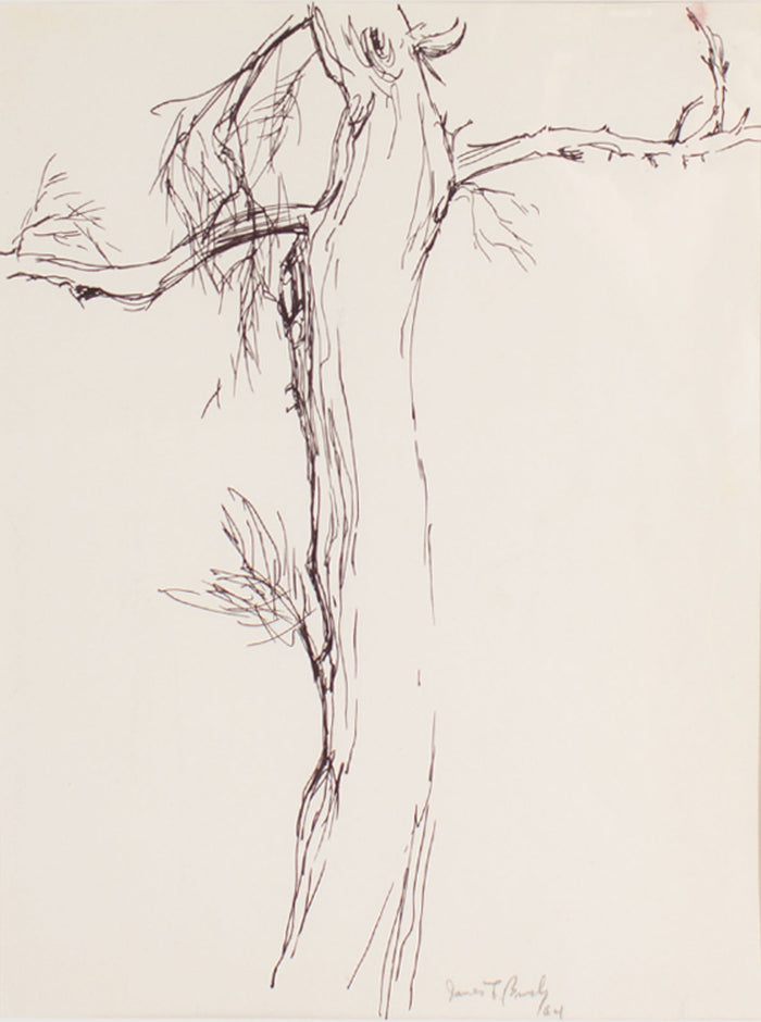 James L. Bruch Signed 1964 Ink Drawing of a Tree