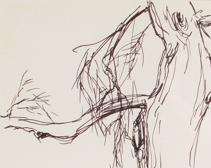 James L. Bruch Signed 1964 Ink Drawing of a Tree