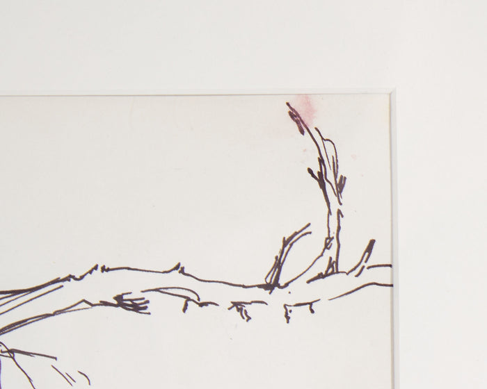 James L. Bruch Signed 1964 Ink Drawing of a Tree