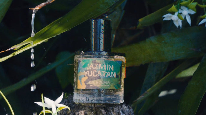 Jazmin Yucatan by D.S. & Durga