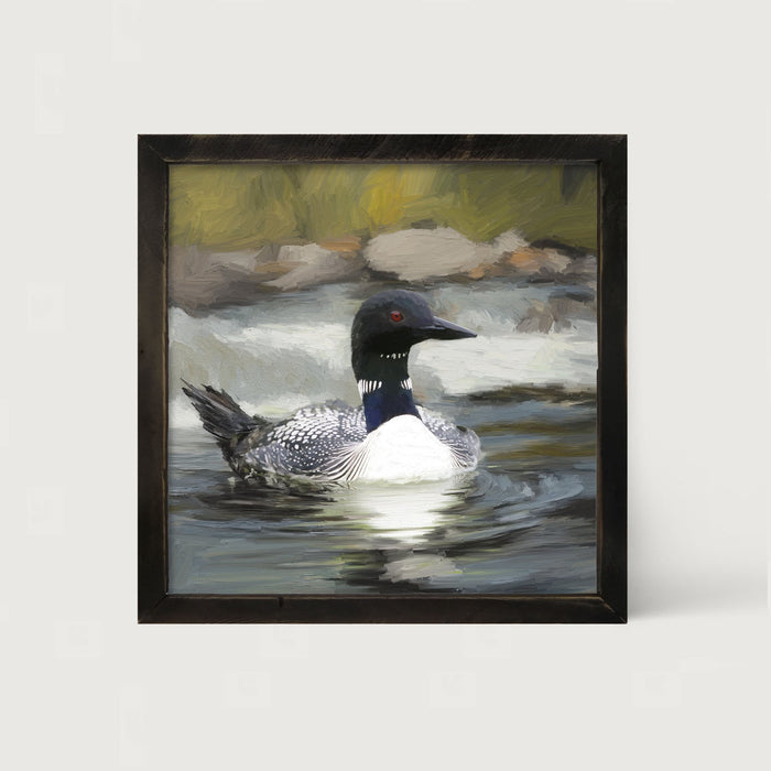 Loon in the Water - Framed art