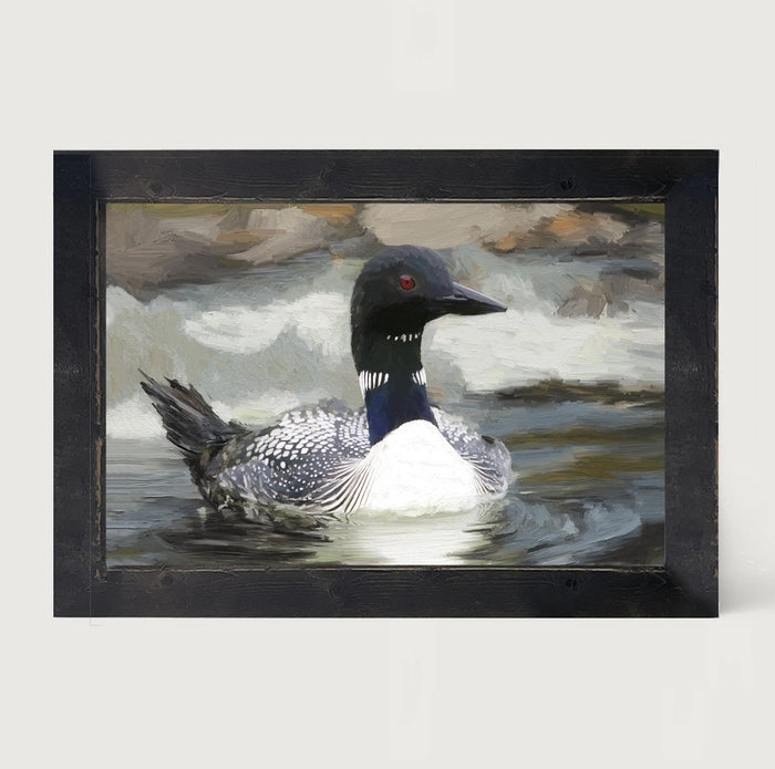 Loon in the Water - Framed art