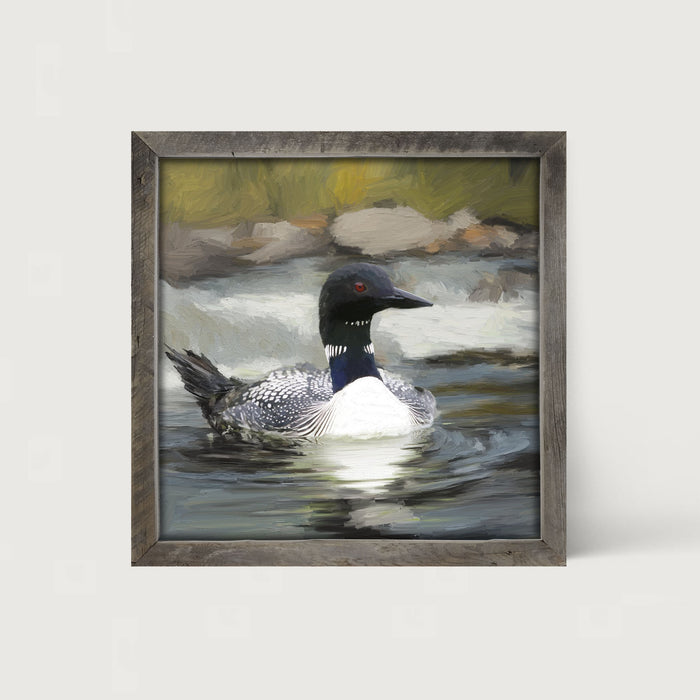 Loon in the Water - Framed art