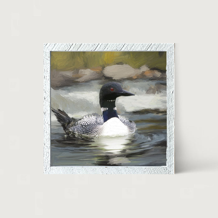Loon in the Water - Framed art