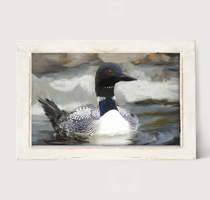 Loon in the Water - Framed art