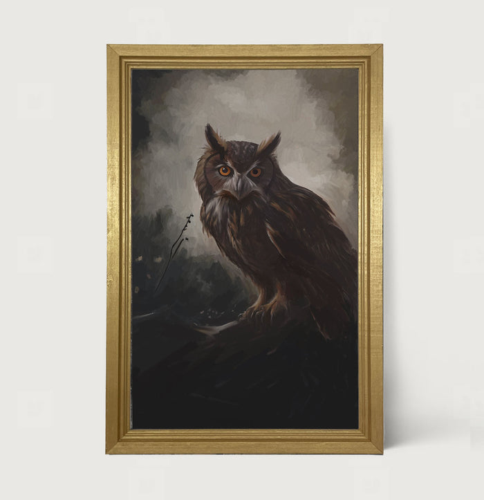 Night Owl - Framed Art