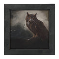 Night Owl - Framed Art