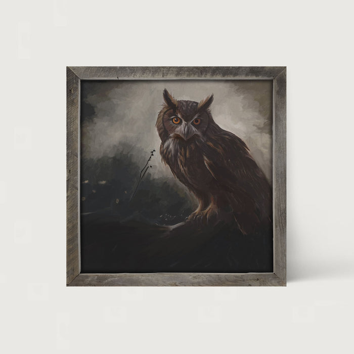 Night Owl - Framed Art