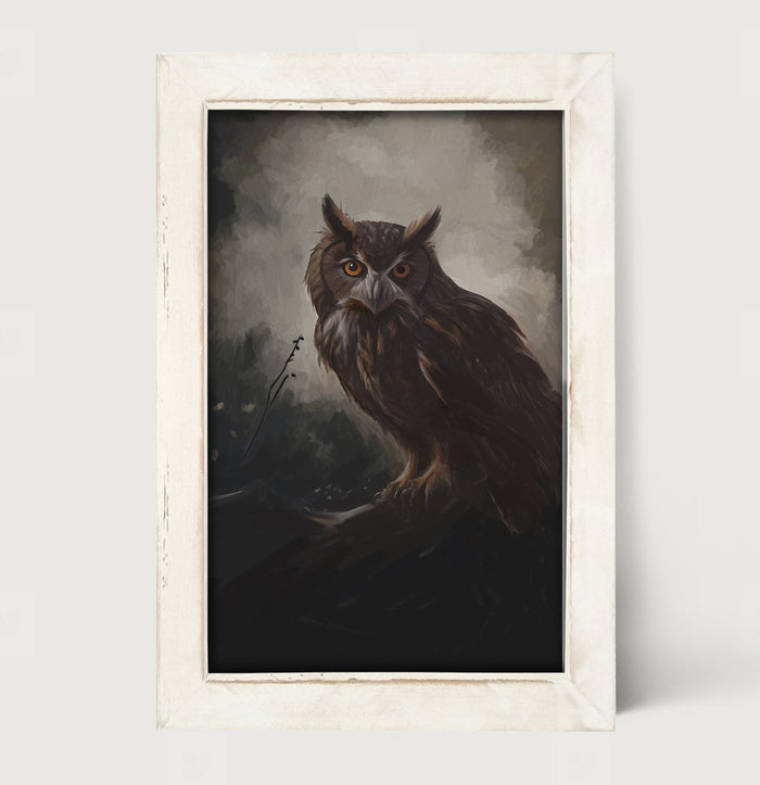 Night Owl - Framed Art