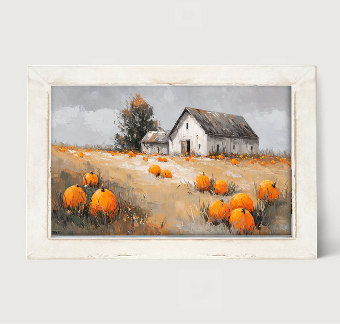 Orange Pumpkins in Field - Framed Art