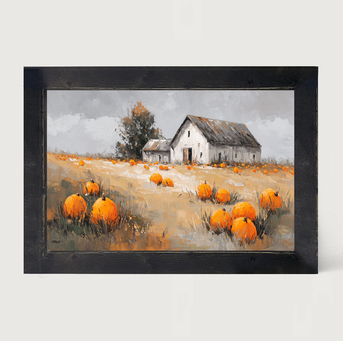 Orange Pumpkins in Field - Framed Art