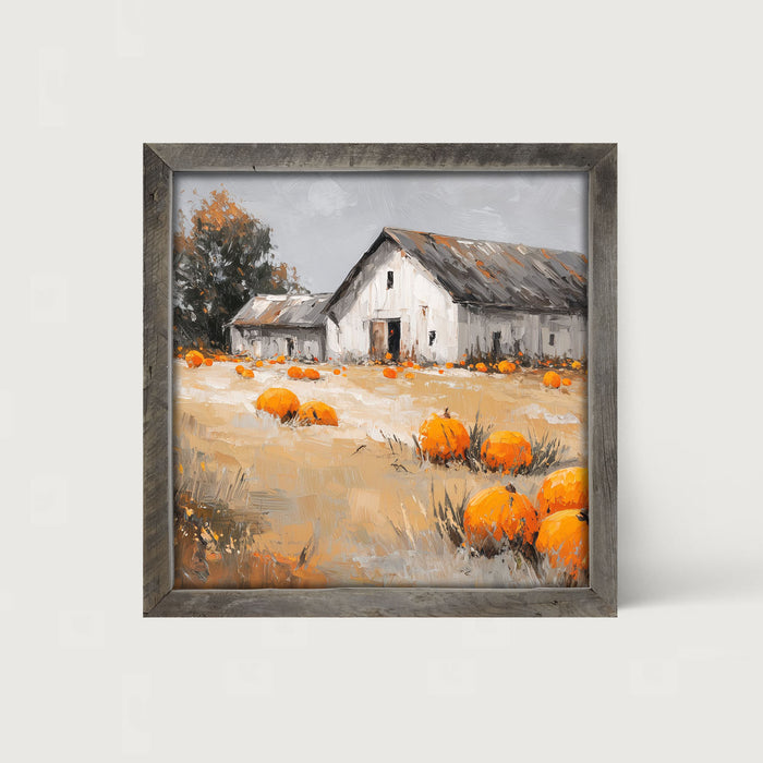 Orange Pumpkins in Field - Framed Art