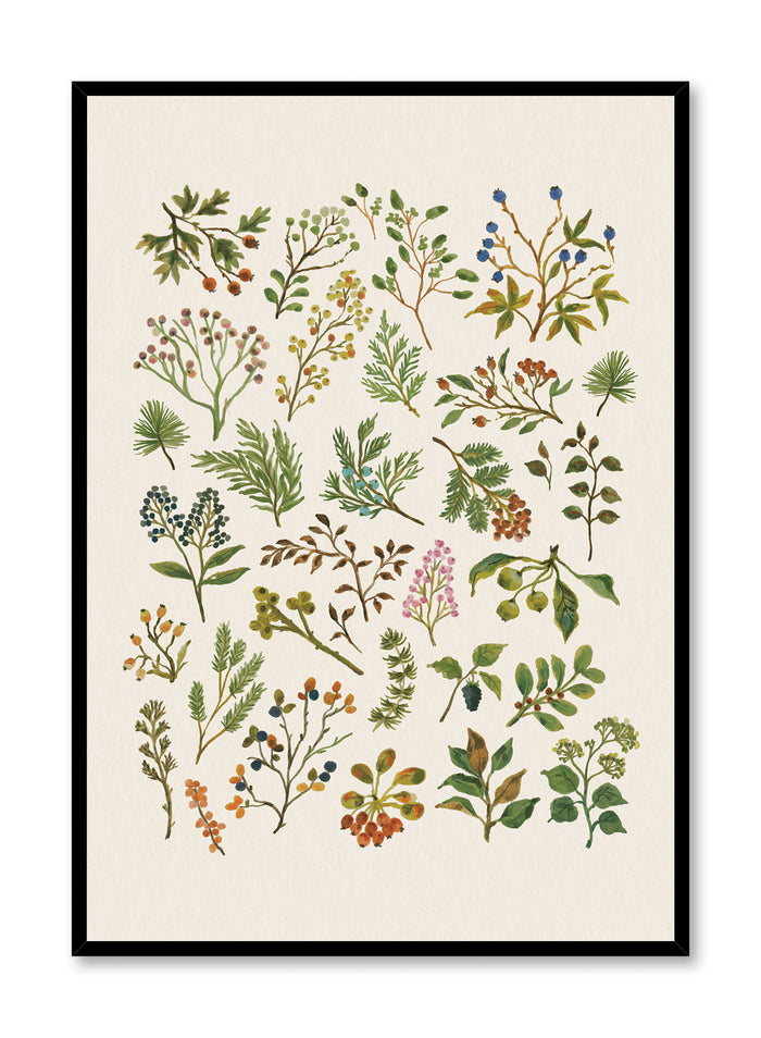 Pressed Botanical Study, Poster