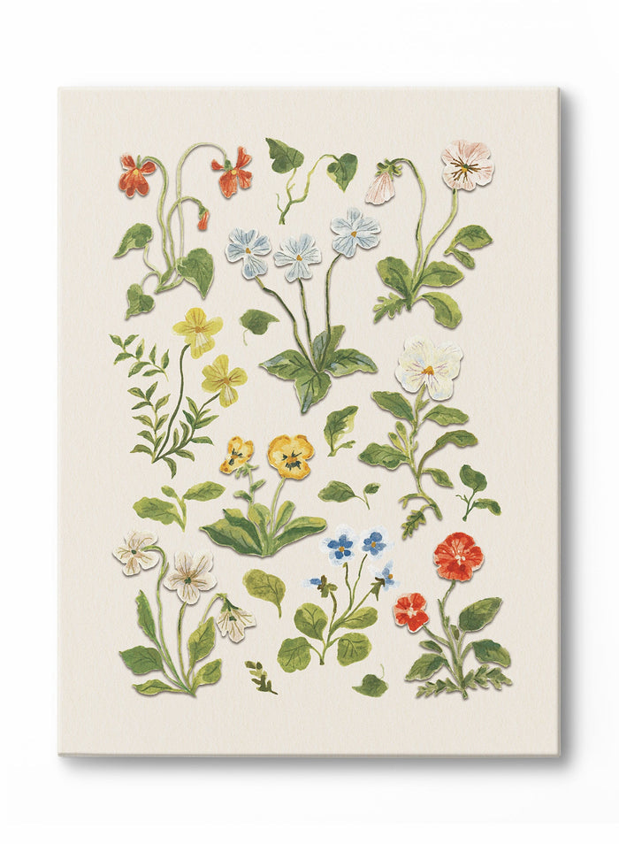 Pressed Flower Study, Canvas