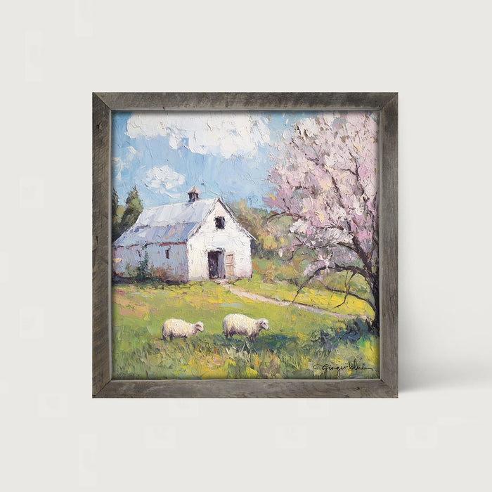 Sheep in Spring