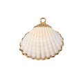 Shell Charms