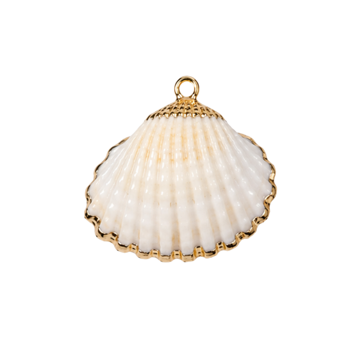 Shell Charms