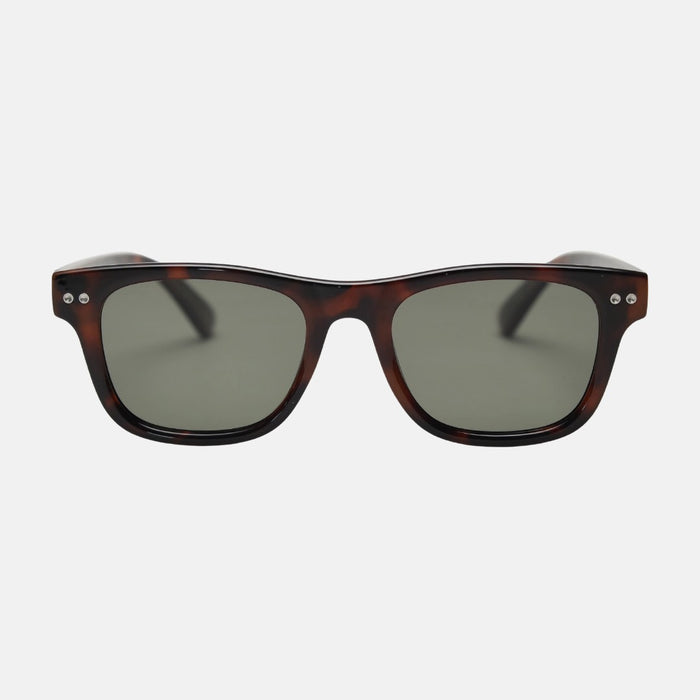 oculos leon sol leopardo frente
