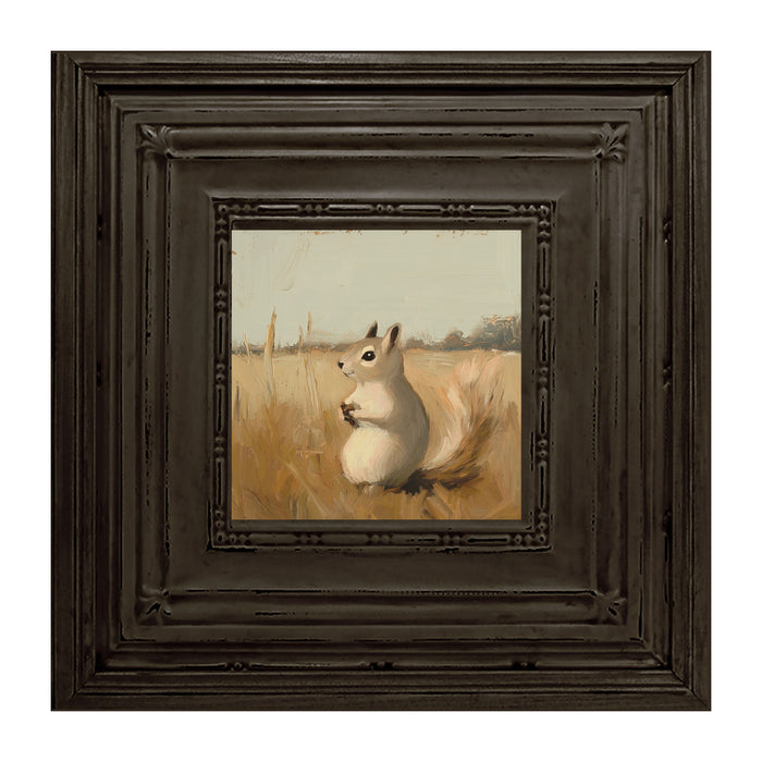 Squirrel in Field