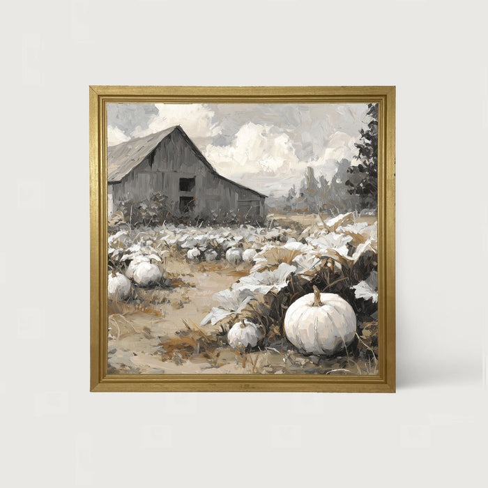White Pumpkins in Field - Framed Art