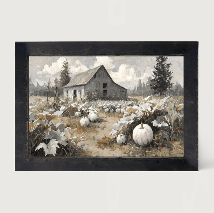 White Pumpkins in Field - Framed Art